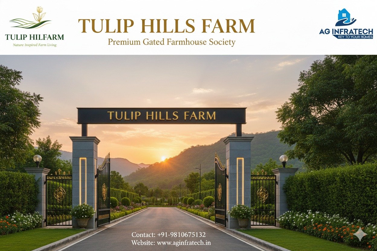Tulip Hills Farm